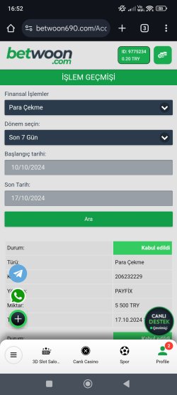 Screenshot_2024-10-17-16-52-06-559_com.android.chrome.jpg