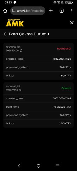 Screenshot_2024-12-14-05-23-23-825.jpg